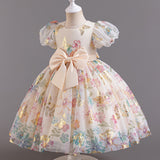 Kid Girl Flower Printed FluffyWedding  Birthday Princess Dress