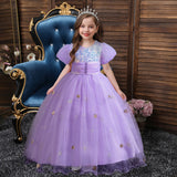 Kid Girl Long Piano Runway Performance Flower Short Sleeved Dresses