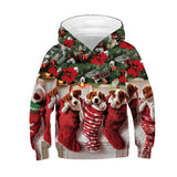 Kid Boy Girl Christmas Panda Digital Print Autumn Spring Hoodie