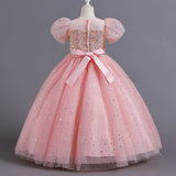 Kid Girl Flower Puff Sleeves Hosts Piano Performance Dresses