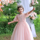 Kid Girl Lace Wedding Fluffy Flower Princess Dresses