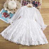 Kid Baby Girl Spring Embroidered Lace Flower Long-sleeved Dresses