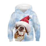 Kid Boy Girl Christmas Panda Digital Print Autumn Spring Hoodie