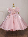 Kid Girl Princess Fluffy Pink Show Flower Piano Performance Dresses