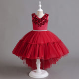 Kid Girl Sleeveless Gauze Princess Christmas Dresses