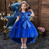 Kid Girl Princess Flower Sequin Fluffy Performance Trailing Dresses