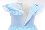 Kid Baby Girl Elsa Christmas Frozen Princess Dress