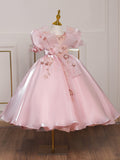 Kid Girl Princess Fluffy Pink Show Flower Piano Performance Dresses
