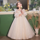 Kid Girl Long Sleeve Flower Wedding Birthday Piano Performance Dresses
