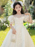 Kid Girl Luxury Niche Princess Dress FlowerWedding Host Piano Dresses