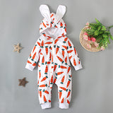 Baby Boys Girl Spring Autumn Cartoon Long Sleeve Bodysuits Rompers