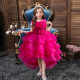 Kid Girls Formal Flower Organza Cake Princess Dresses