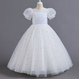 Kid Girl Flower Puff Sleeves Hosts Piano Performance Dresses