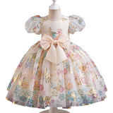 Kid Girl Flower Printed FluffyWedding  Birthday Princess Dress