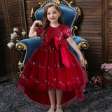 Kid Girl Princess Flower Sequin Fluffy Performance Trailing Dresses