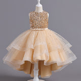 Kid Girl Princess Sleeveless Tail Flower Wedding Fluffy Dresses