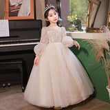 Kid Girl Long Sleeve Flower Wedding Birthday Piano Performance Dresses