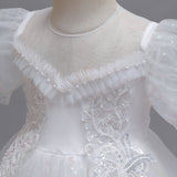 Kid Girls Flower Puffy Wedding Piano Performance Dresses