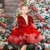 Kid Baby Girl Long Sleeved Princess Hosting Flower Show Dresses