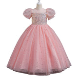 Kid Girl Flower Puff Sleeves Hosts Piano Performance Dresses
