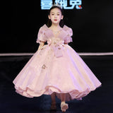 Kid Girl Princess Fluffy Pink Show Flower Piano Performance Dresses