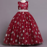 Kid Girl Puffy Tulle Princess Flower Party Piano Performance Dress