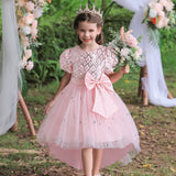 Kid Girl Princess Flower Sequin Fluffy Performance Trailing Dresses