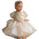 Kid Baby Girl Flower Girl Fluffy Yarn Wedding Birthday Dress