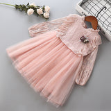 Kid Baby Girl Lace Fluffy Gauze Long Sleeve Flower Casual Dresses