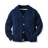 Kid Boy Open Door Wool Ins Wind Twist Cardigan Sweater