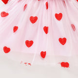 Kid Baby Girl Autumn Long Sleeve Mesh Flower Casual Dresses