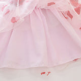 Kid Baby Girl Autumn Long Sleeve Mesh Flower Casual Dresses