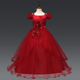 Kid Baby Girl Full Princess Strap Party Dresses