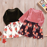 Kid Baby Girls Long Sleeve Ins Flower Dress