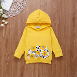 Baby Girl Spring Pure Cotton Long Sleeve 2 Pcs Set Outfits