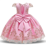 Girls Dress Princess Embroidery Chirstmas Evening Birthday Party Dress - honeylives