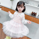 Girl Autumn Casual Cute Gauze Dress 2 Pcs Set