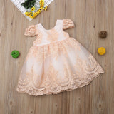 Baby Girl Embroidered Bowknot Party Dresses 6M-4T