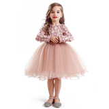 Autumn Winter Girls Princess Flower Ball Gown Party Dresses