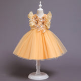 Kid Baby Girl Princess Pomfret Wedding Dress