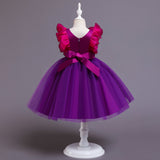 Kid Baby Girl Princess Pomfret Wedding Dress