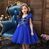 Kid Baby Girl Princess Pomfret Wedding Dress