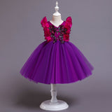 Kid Baby Girl Princess Pomfret Wedding Dress