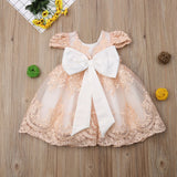 Baby Girl Embroidered Bowknot Party Dresses 6M-4T
