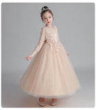 Kid Girl Princess Party Performance Costumes Dress