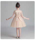 Autumn Spring Kids Girl Princess Formal Pengant Dresses