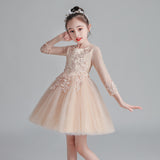 Autumn Spring Kids Girl Princess Formal Pengant Dresses