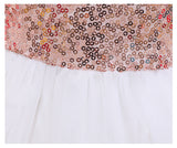 Baby Girl Halloween Princess Dresses