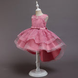 Kid Girl Princess Embroidered Dresses