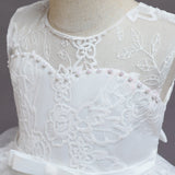 Kid Girl Princess Embroidered Dresses